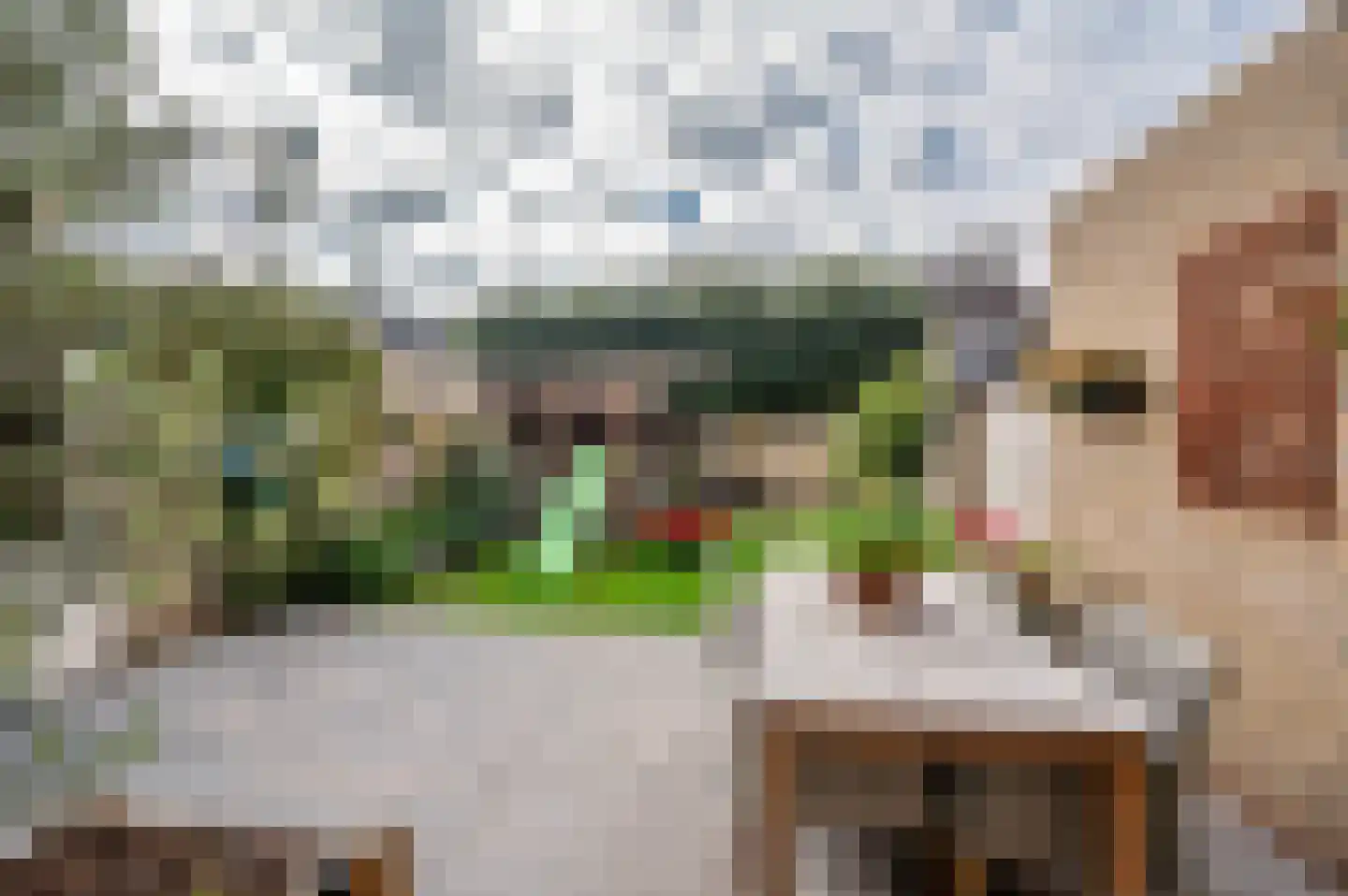Schandeloseweg 32 Velden thumbnail 52