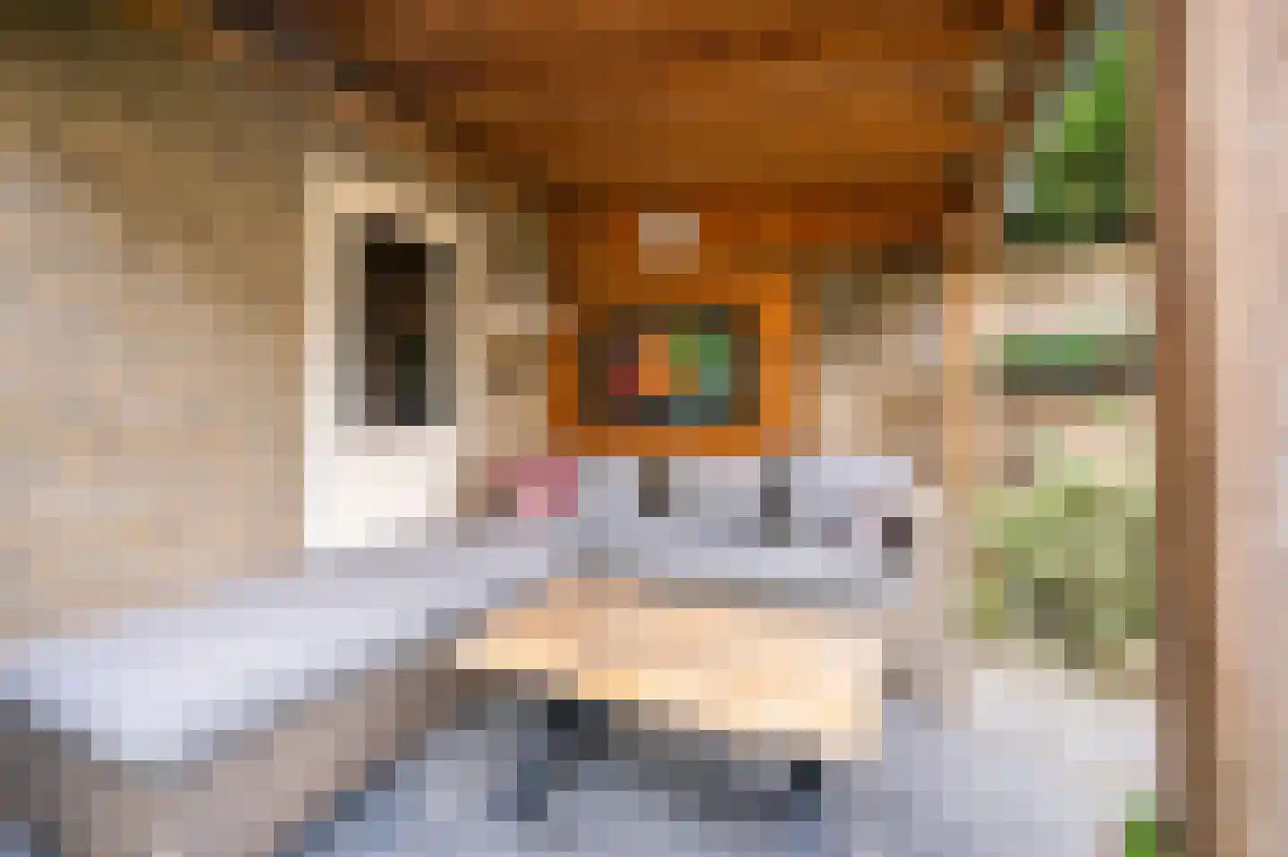 Schandeloseweg 32 Velden thumbnail 54