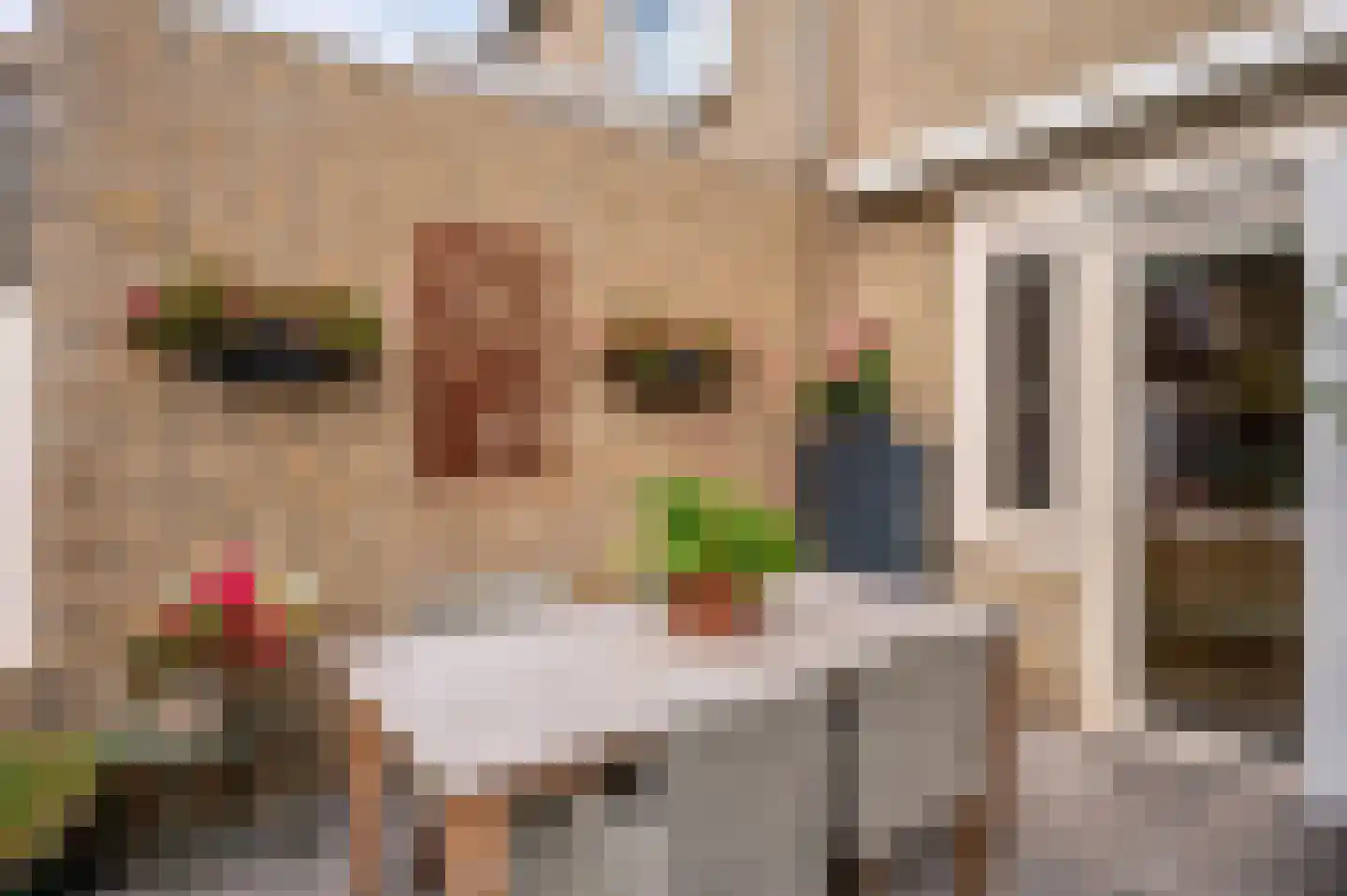 Schandeloseweg 32 Velden thumbnail 57