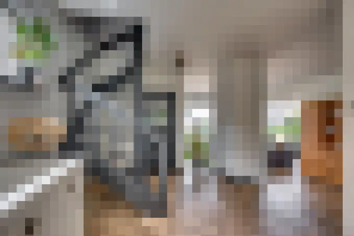 Schandeloseweg 46 Velden thumbnail 6