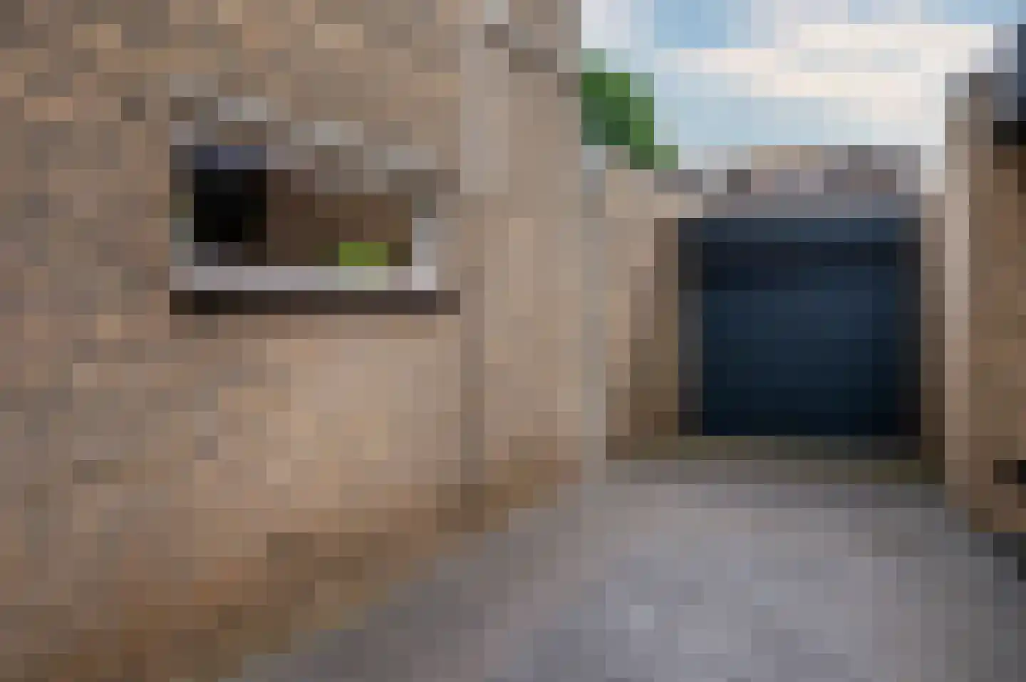 Schandeloseweg 46 Velden thumbnail 64