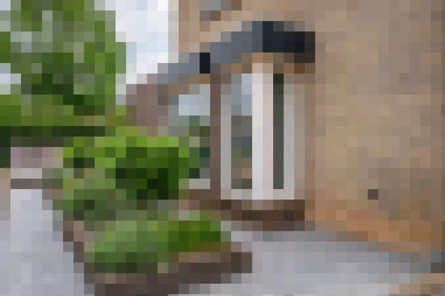 Schandeloseweg 46 Velden thumbnail 68
