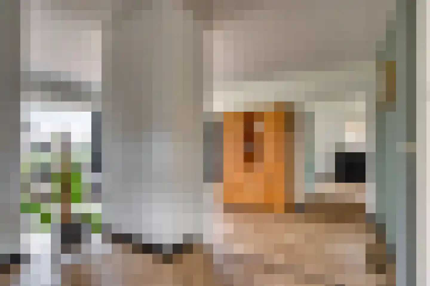 Schandeloseweg 46 Velden thumbnail 7