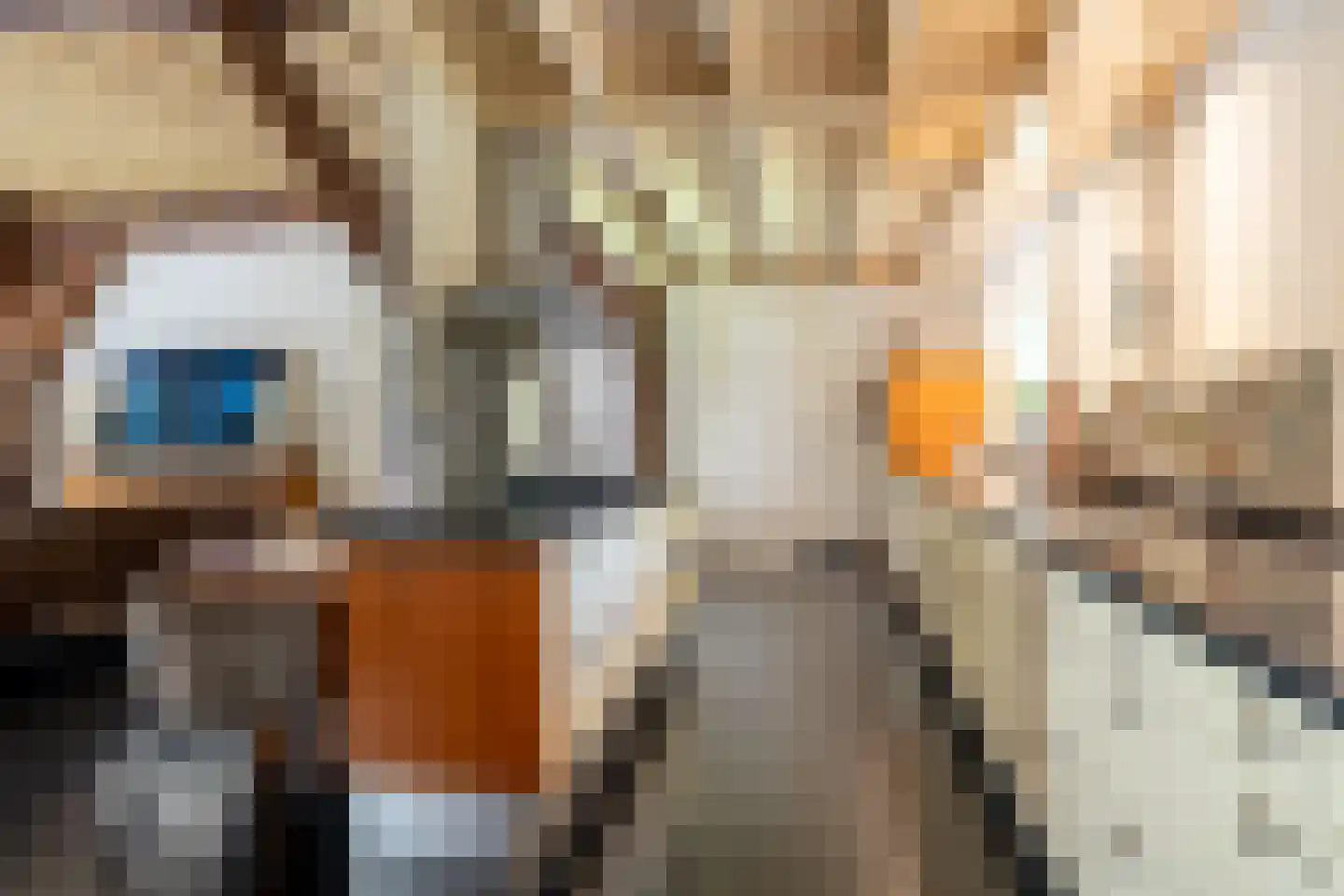 Schans 1 Westervoort thumbnail 10
