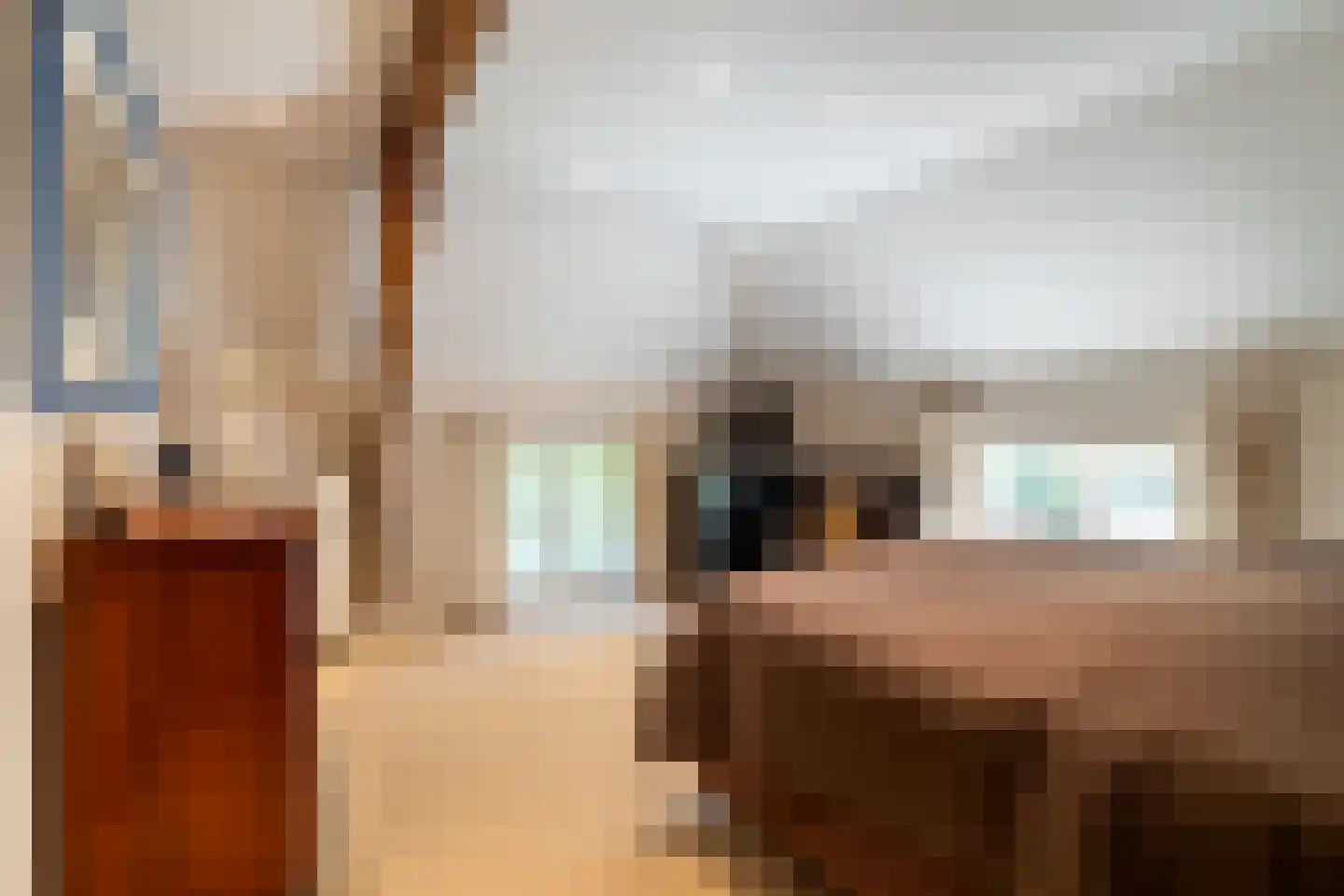 Schans 1 Westervoort thumbnail 28