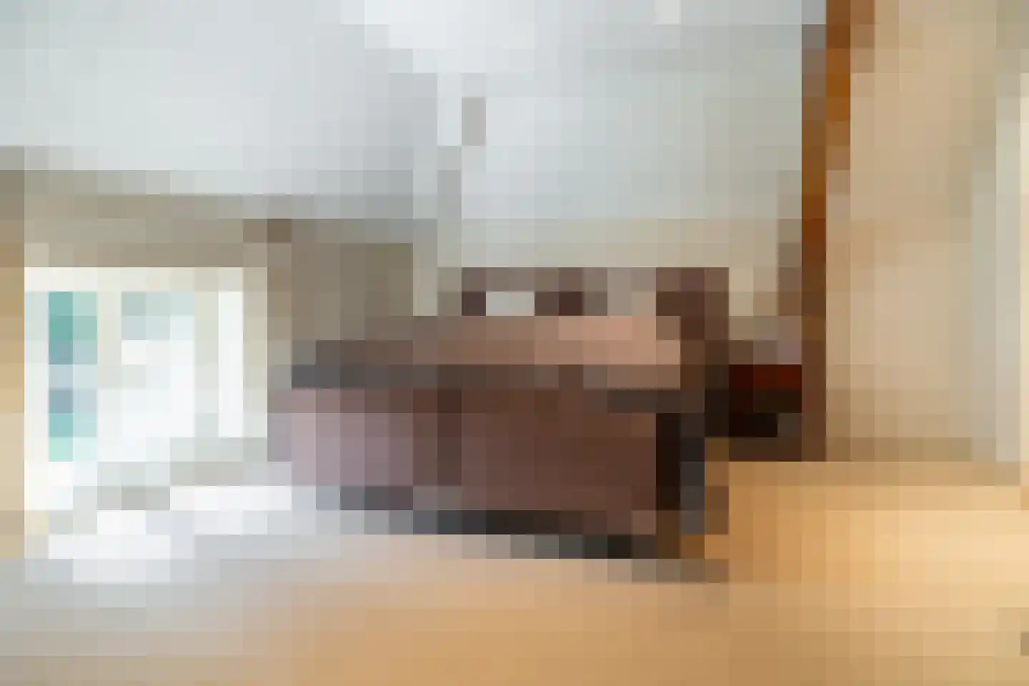 Schans 1 Westervoort thumbnail 29