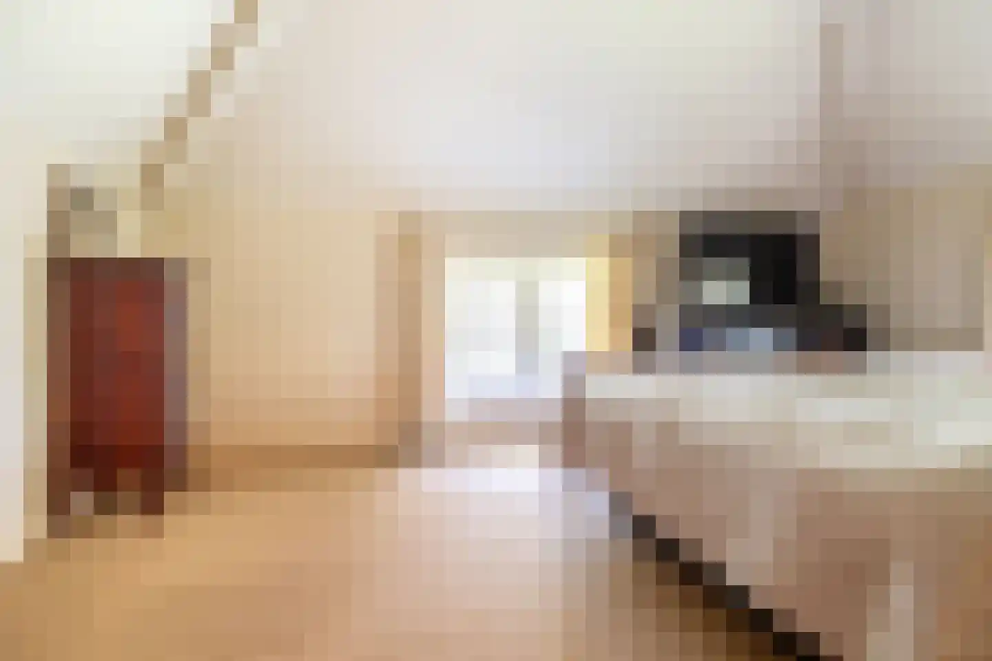 Schans 1 Westervoort thumbnail 34
