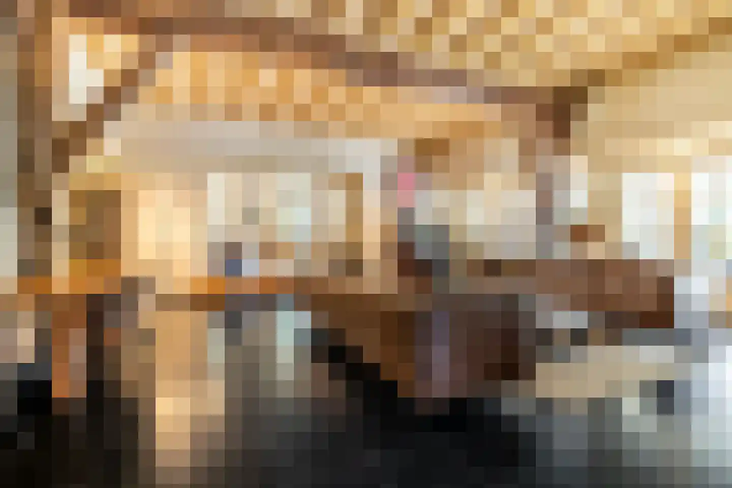 Schans 1 Westervoort thumbnail 4