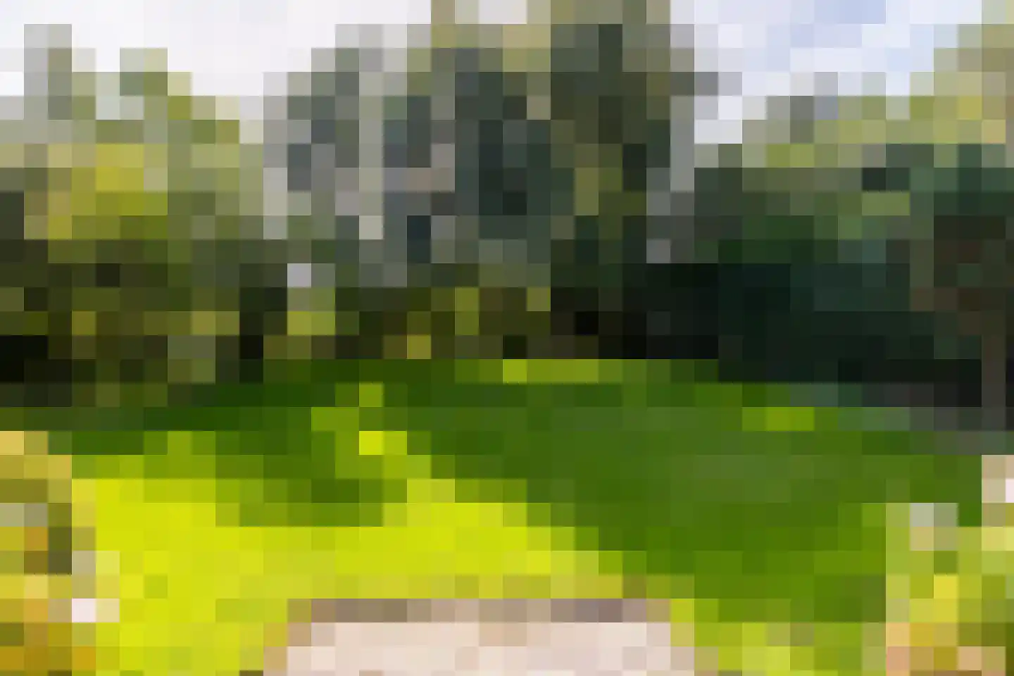 Schans 1 Westervoort thumbnail 50