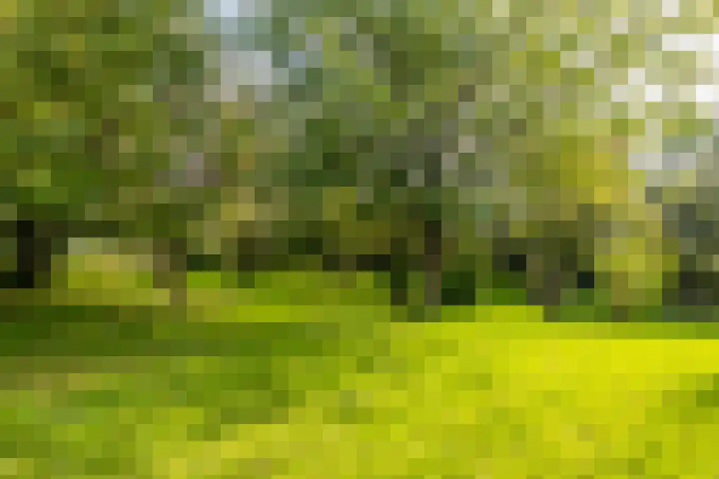 Schans 1 Westervoort thumbnail 51