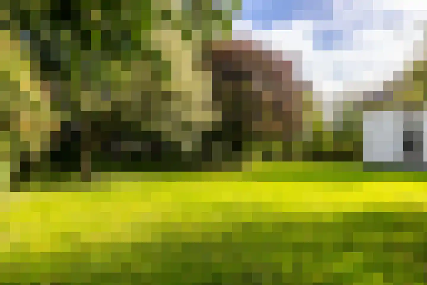 Schans 1 Westervoort thumbnail 52