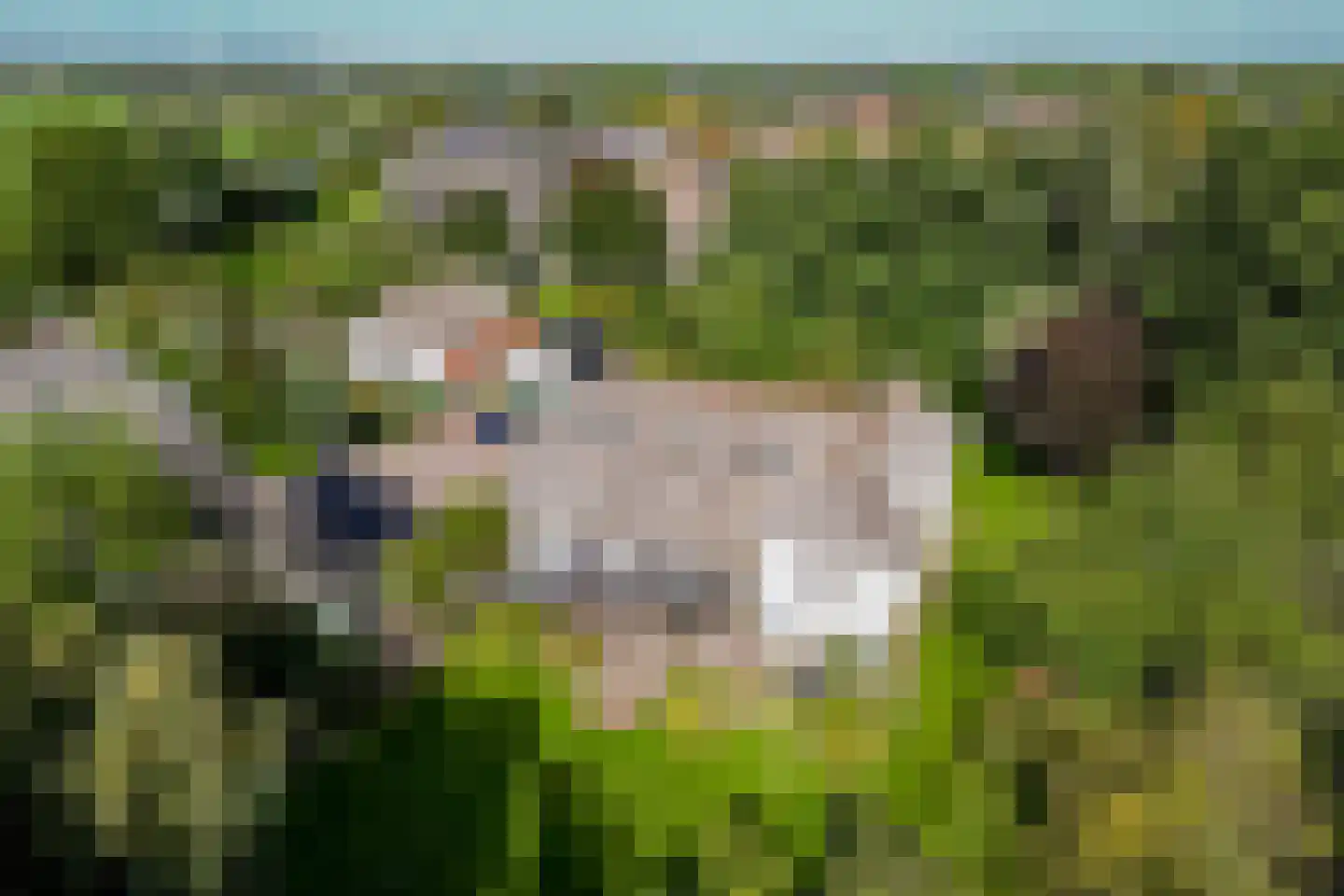 Schans 1 Westervoort thumbnail 56