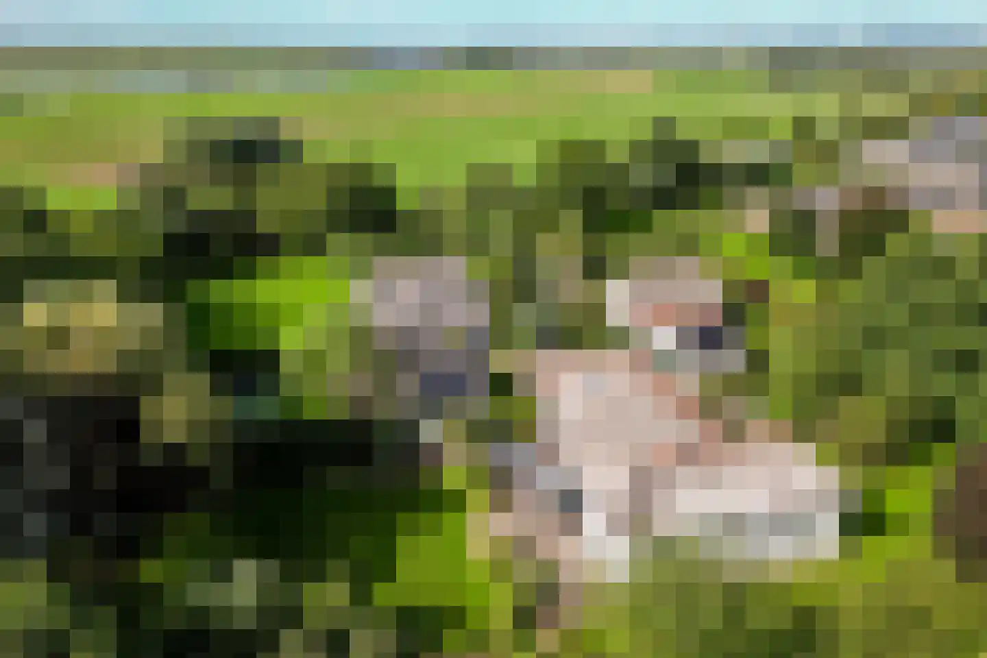 Schans 1 Westervoort thumbnail 57