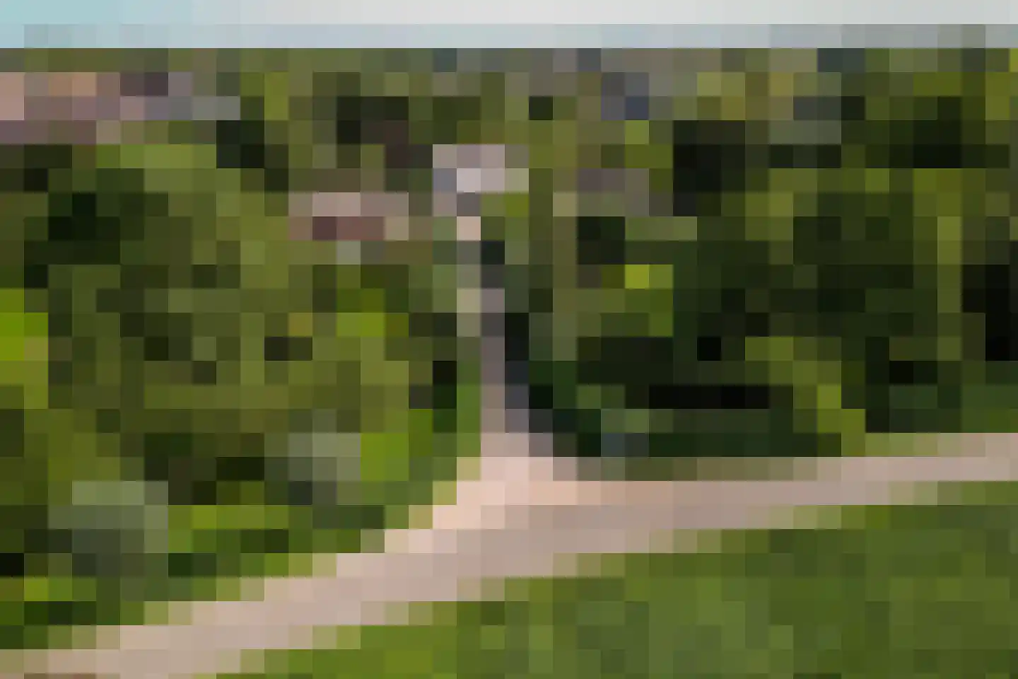 Schans 1 Westervoort thumbnail 58