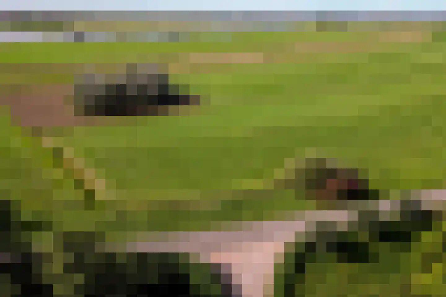 Schans 1 Westervoort thumbnail 60