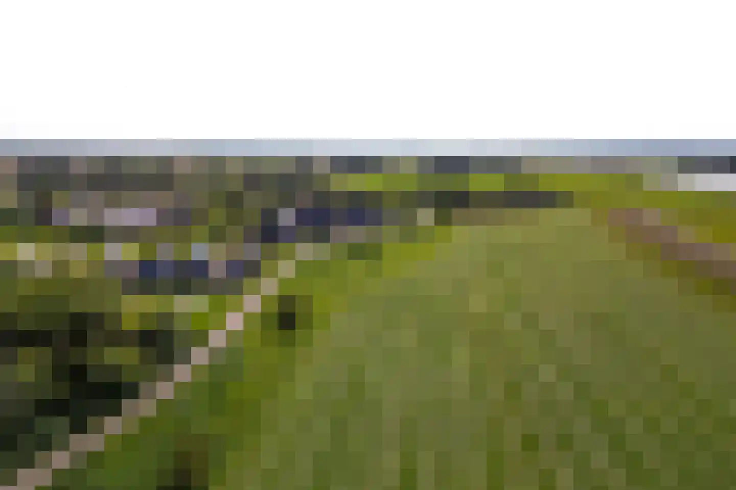 Schans 1 Westervoort thumbnail 61