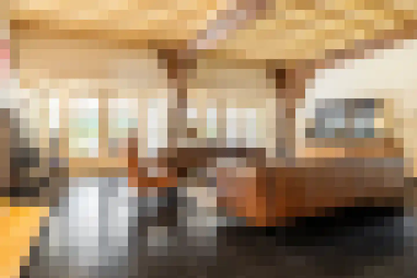 Schans 1 Westervoort thumbnail 7