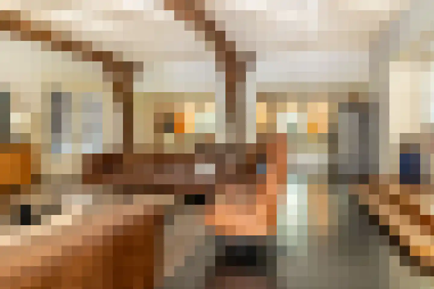 Schans 1 Westervoort thumbnail 8