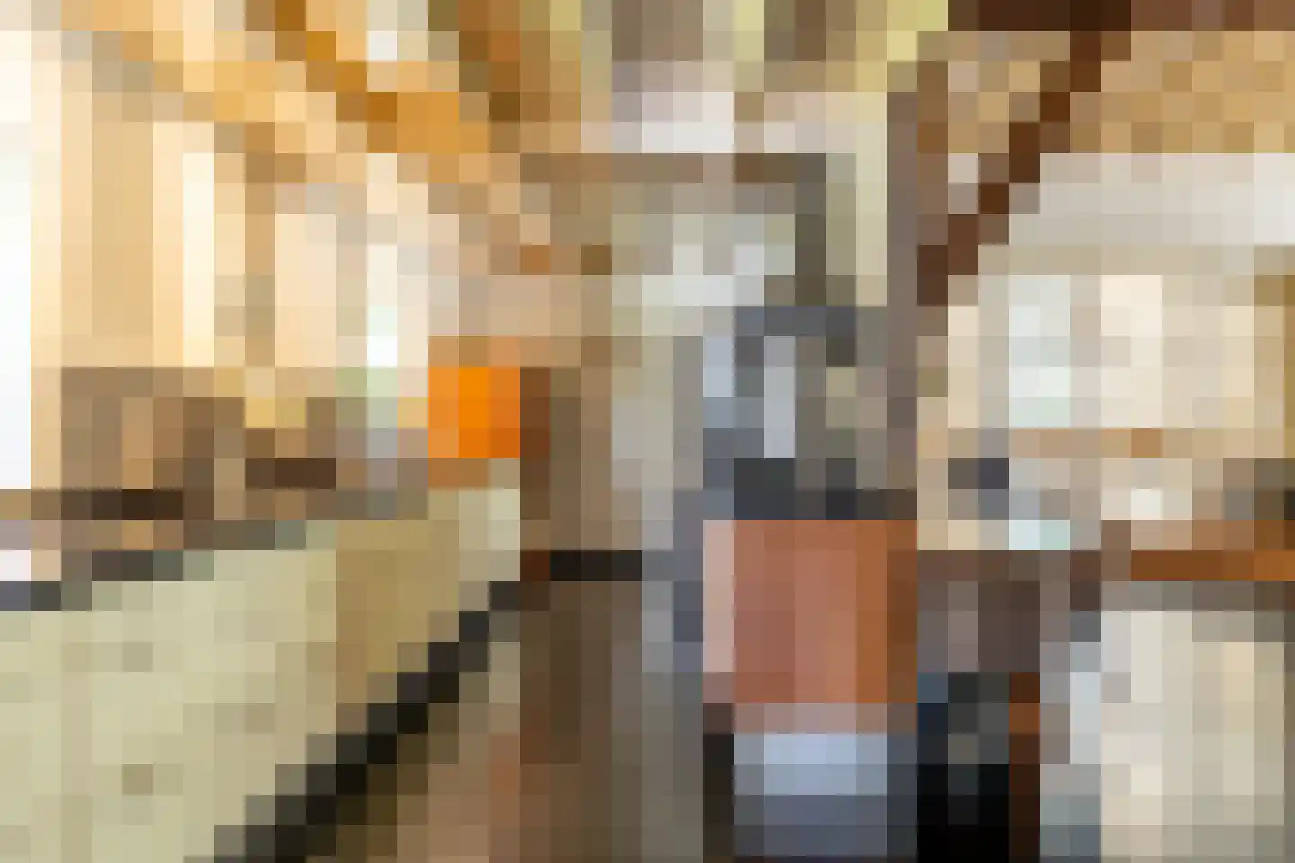 Schans 1 Westervoort thumbnail 9