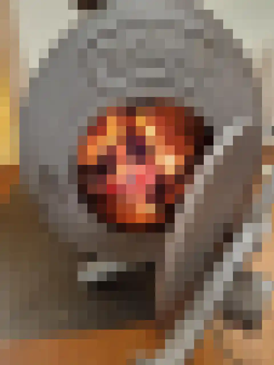 Schans 10 Stavoren thumbnail 31