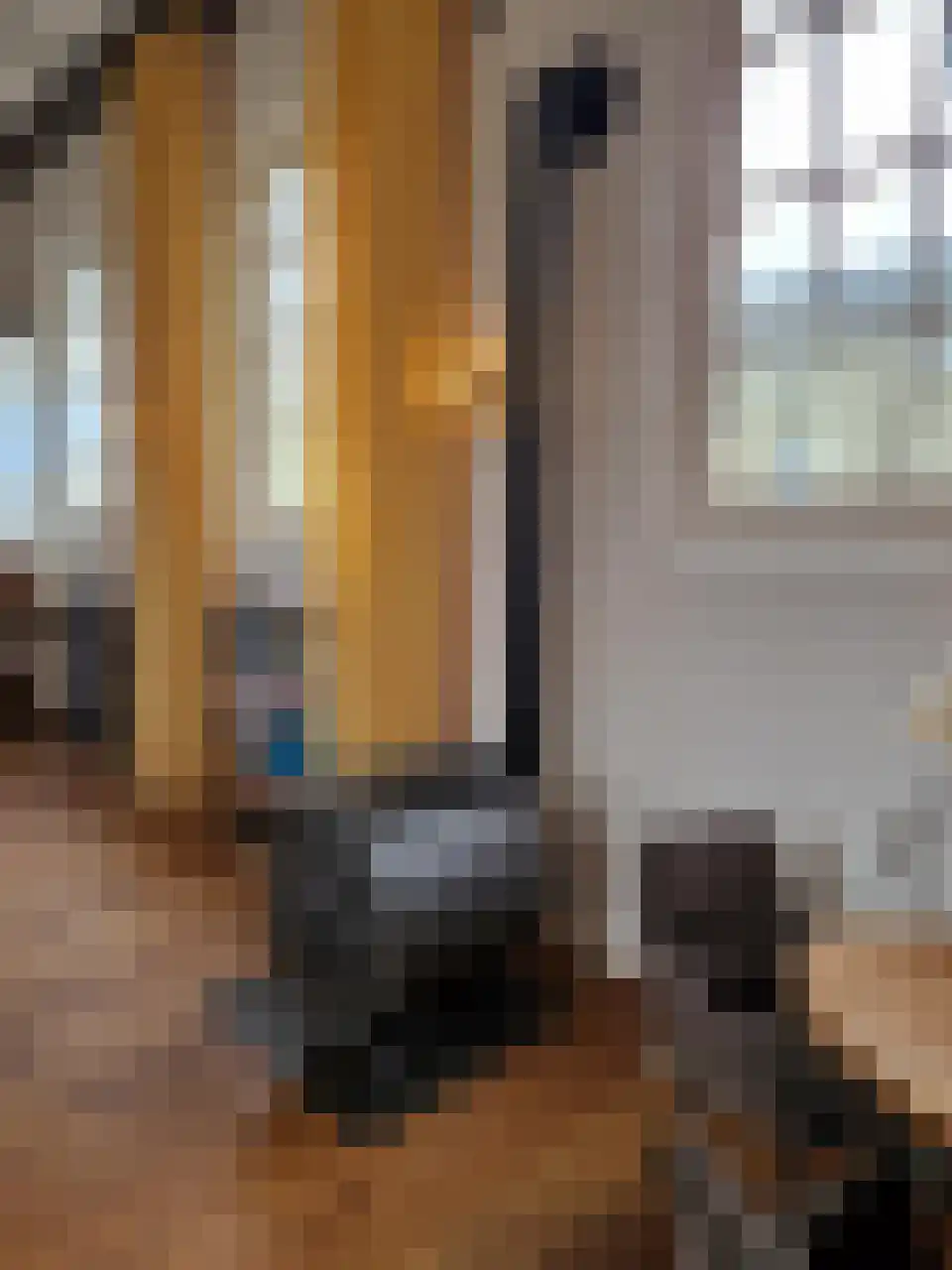Schans 10 Stavoren thumbnail 32