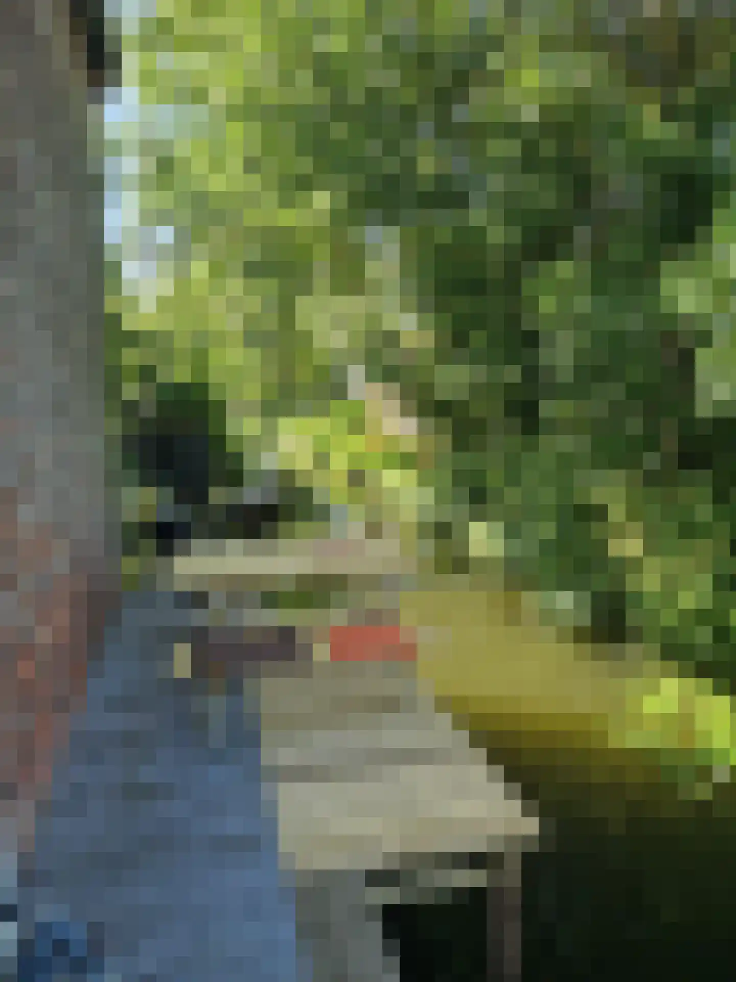 Schans 10 Stavoren thumbnail 33