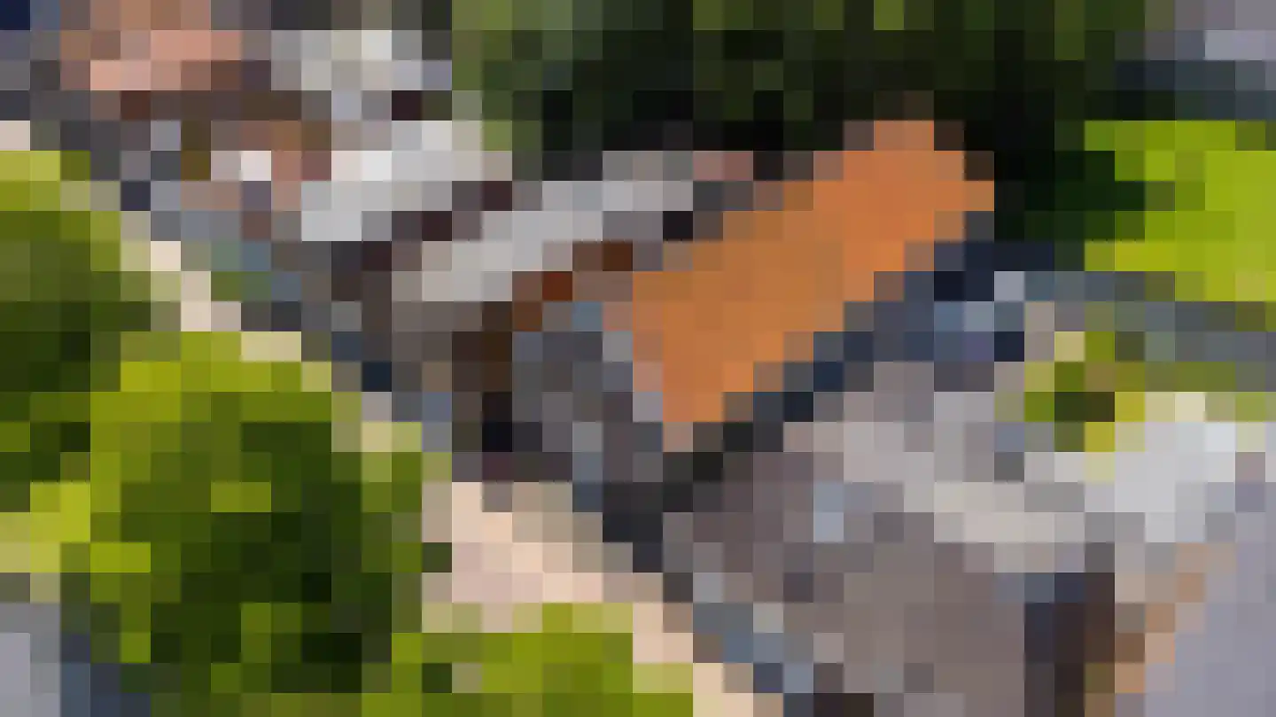 Schans 10 Stavoren thumbnail 39