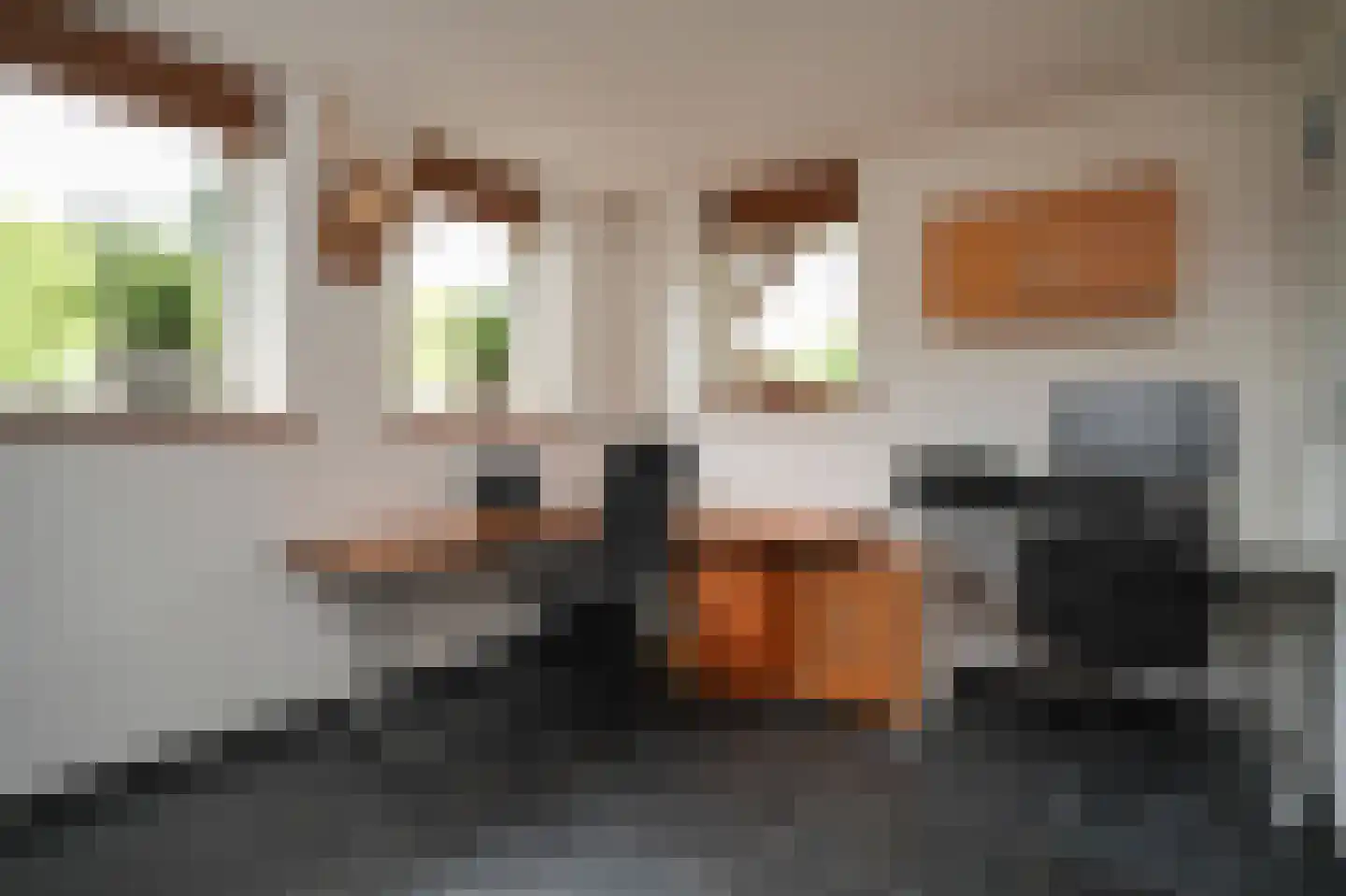 Schans 10 Werkendam thumbnail 20