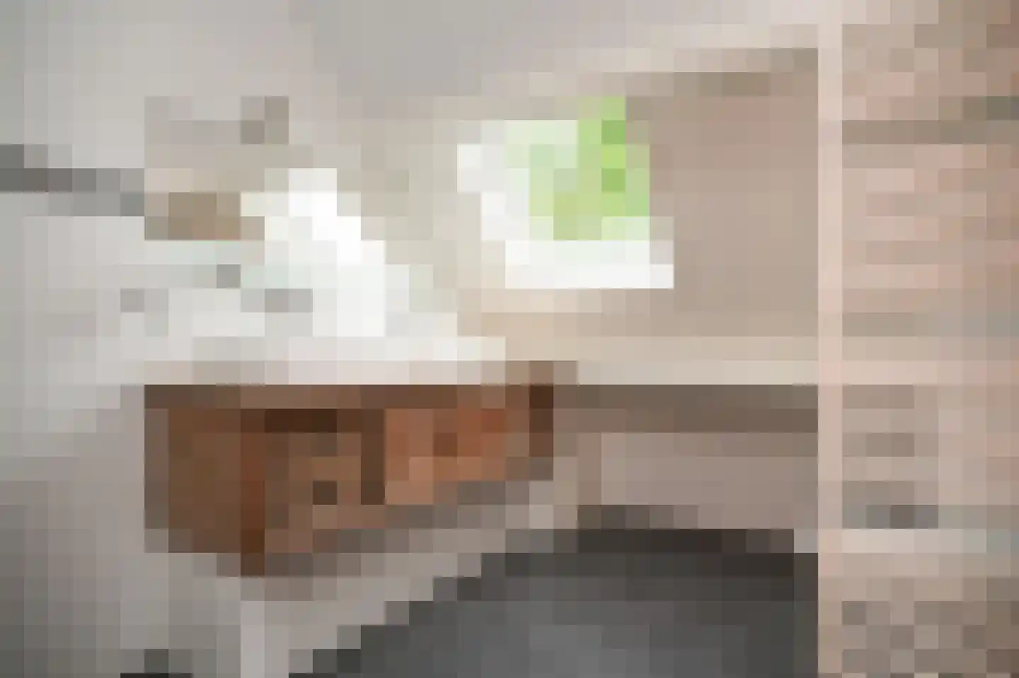 Schans 10 Werkendam thumbnail 25