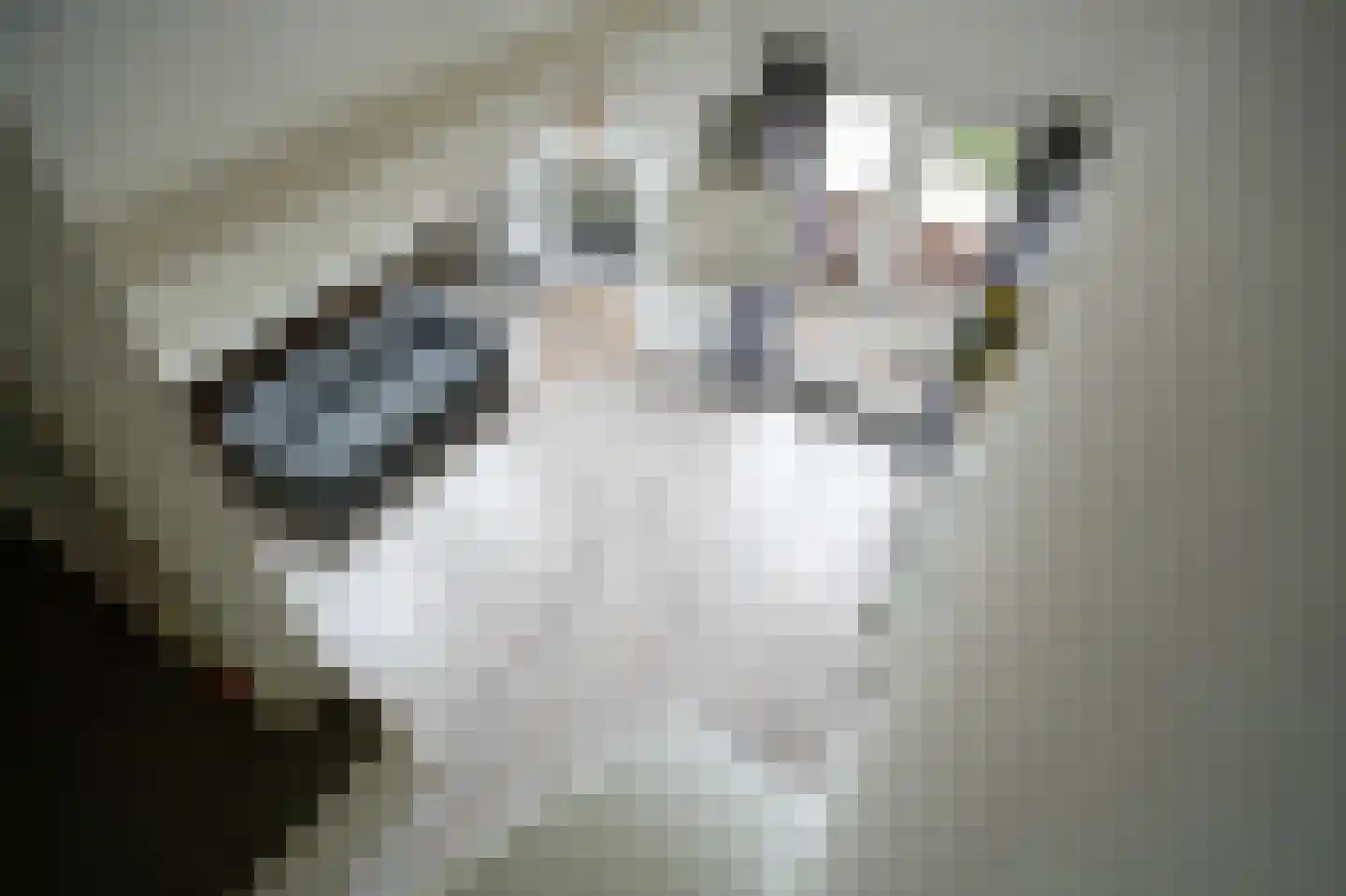 Schans 10 Werkendam thumbnail 33