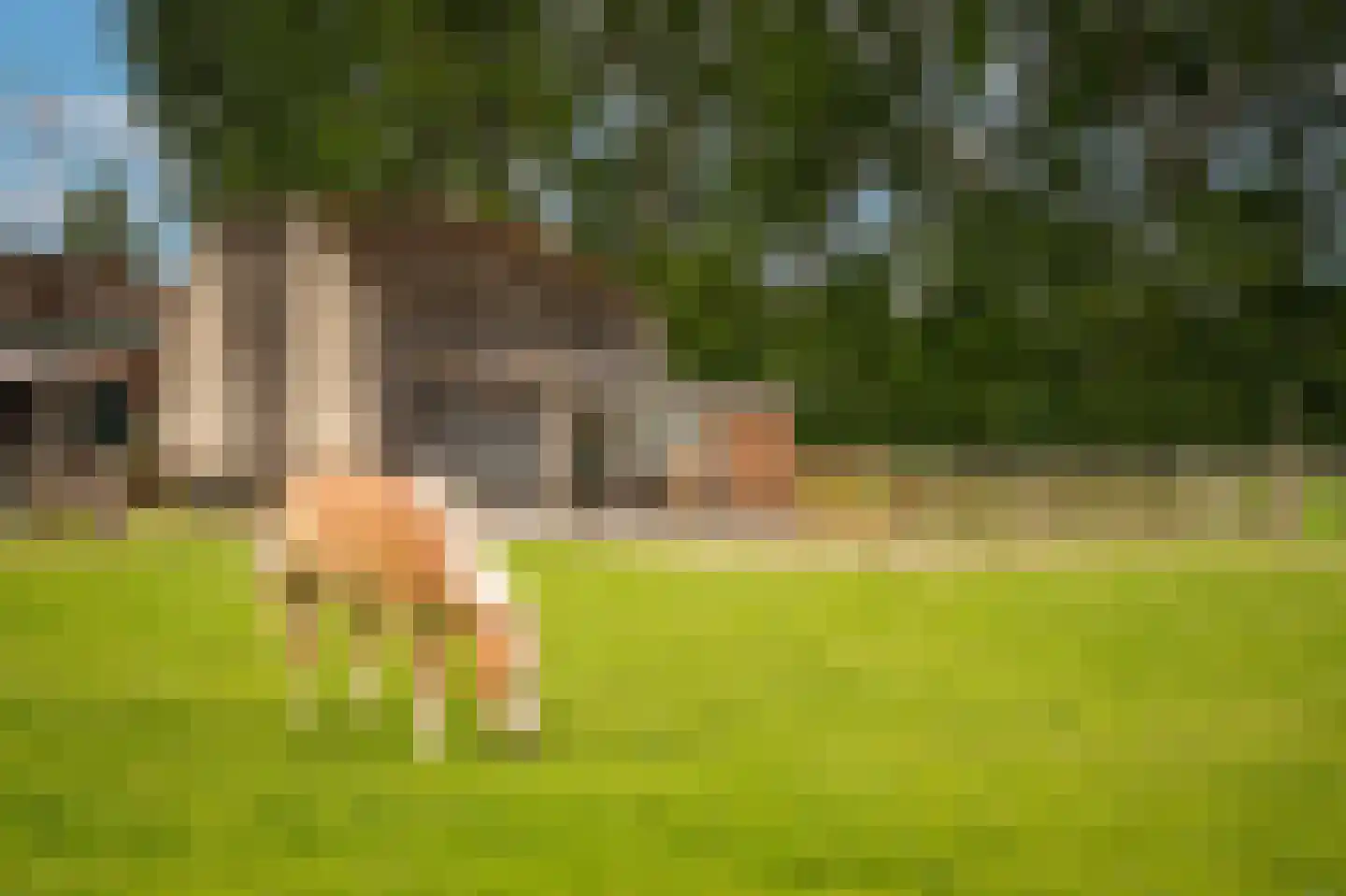 Schans 10 Werkendam thumbnail 38