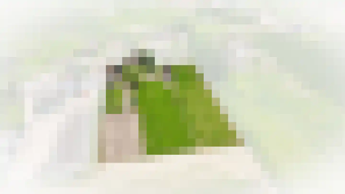 Schans 10 Werkendam thumbnail 69