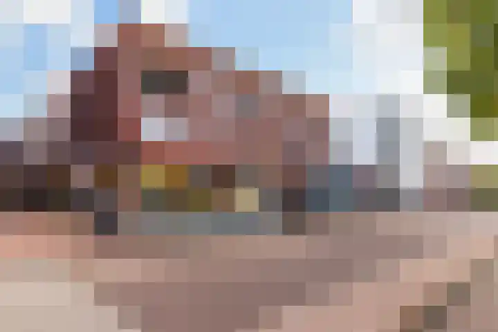 Schans 107 Dronten thumbnail 13