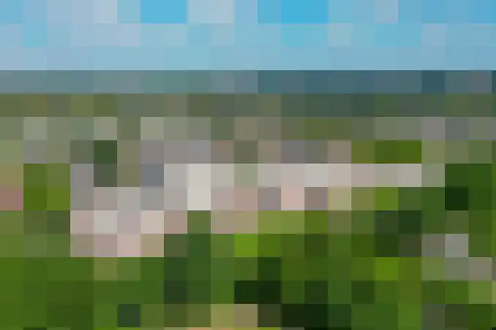 Schans 107 Dronten foto 2