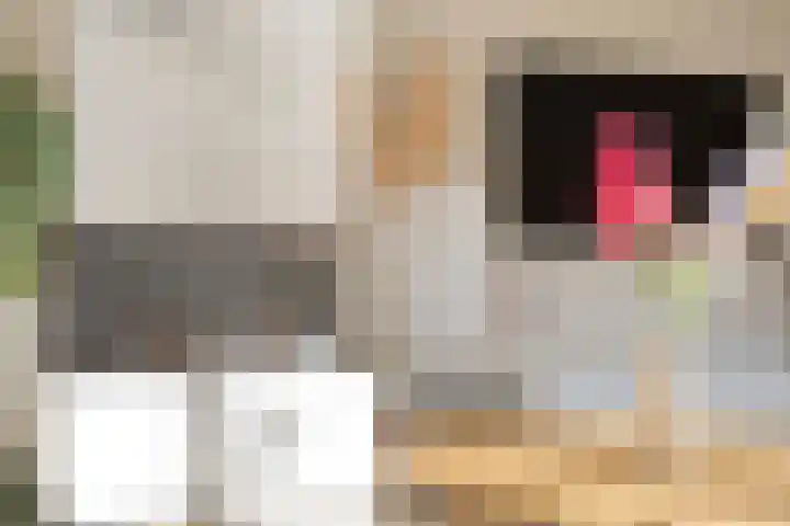 Schans 107 Dronten thumbnail 34