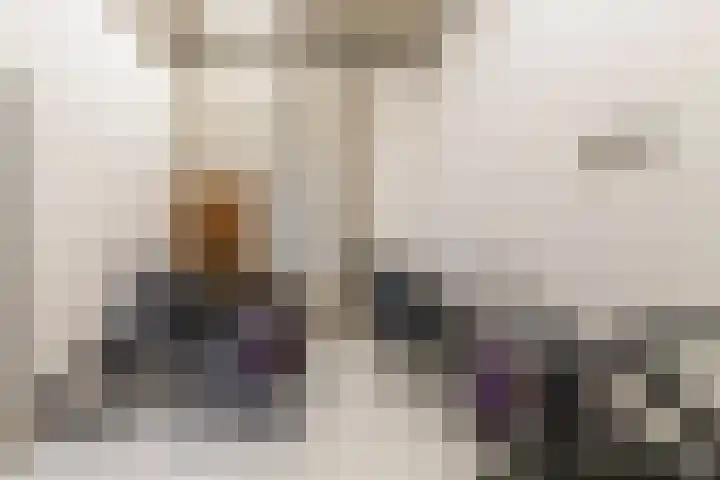 Schans 107 Dronten thumbnail 41