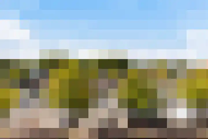 Schans 107 Dronten thumbnail 46