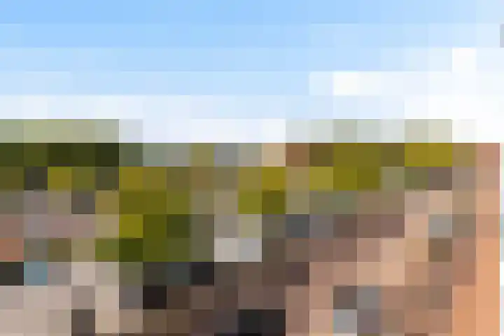 Schans 107 Dronten thumbnail 47