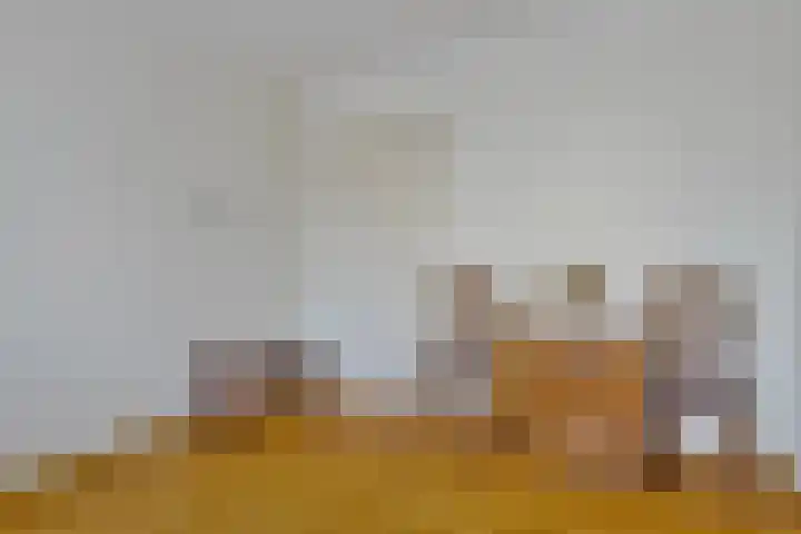 Schans 11 Veldhoven thumbnail 22