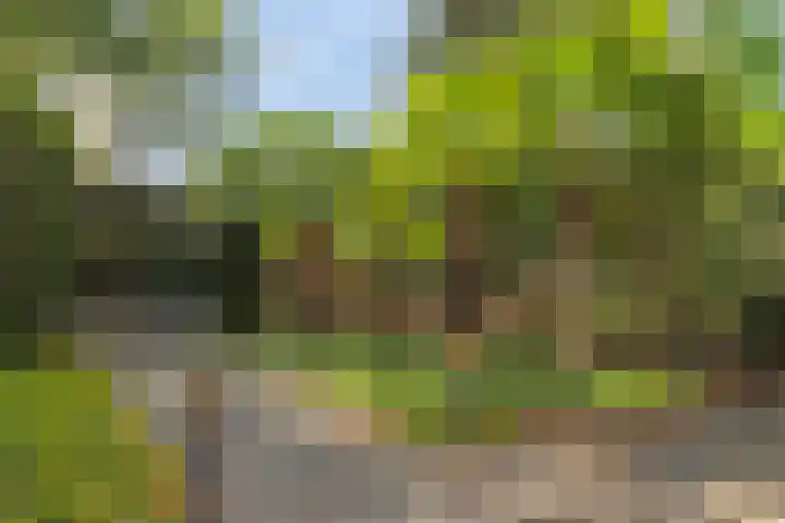 Schans 11 Veldhoven thumbnail 4