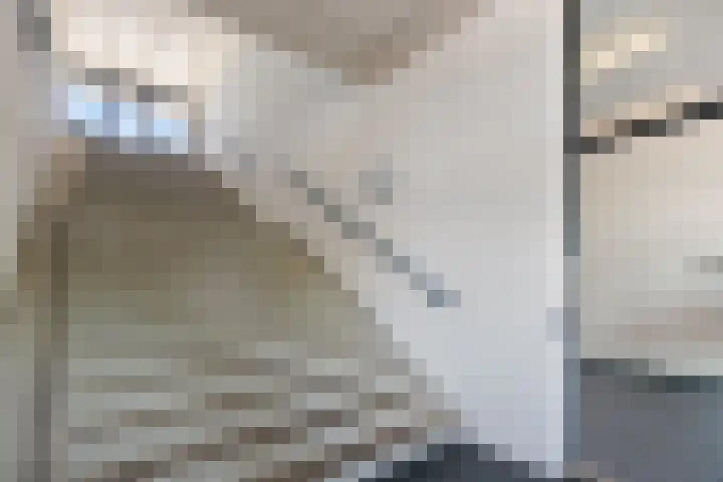 Schans 119 Dronten thumbnail 6