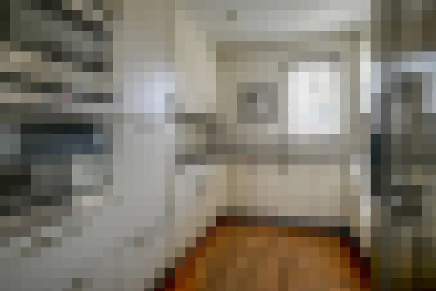 Schans 12 Berkel en Rodenrijs thumbnail 13