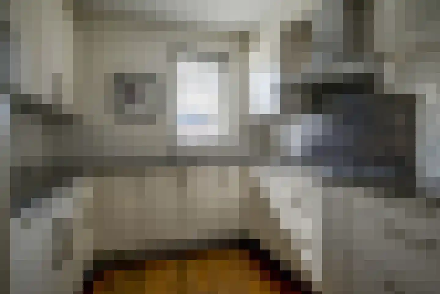 Schans 12 Berkel en Rodenrijs thumbnail 14