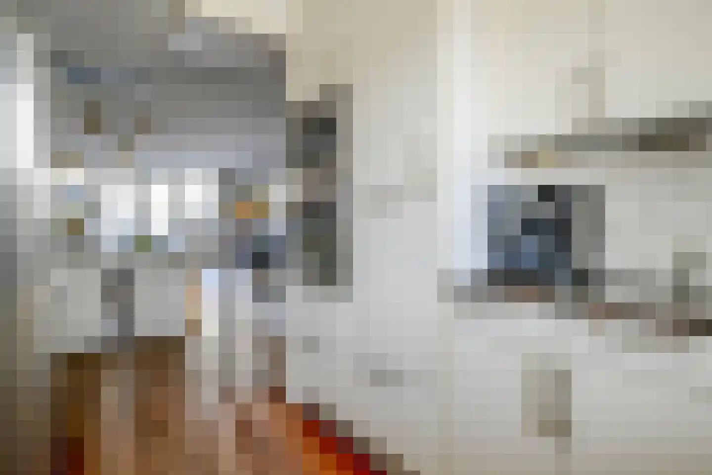 Schans 12 Berkel en Rodenrijs thumbnail 15