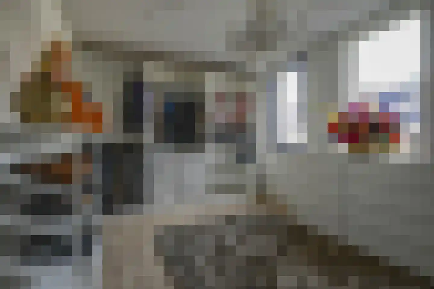Schans 12 Berkel en Rodenrijs thumbnail 25