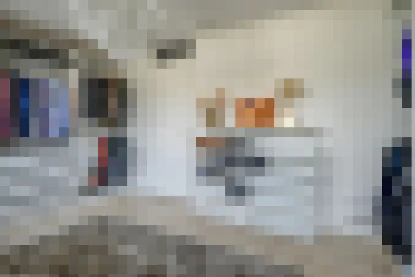 Schans 12 Berkel en Rodenrijs thumbnail 28