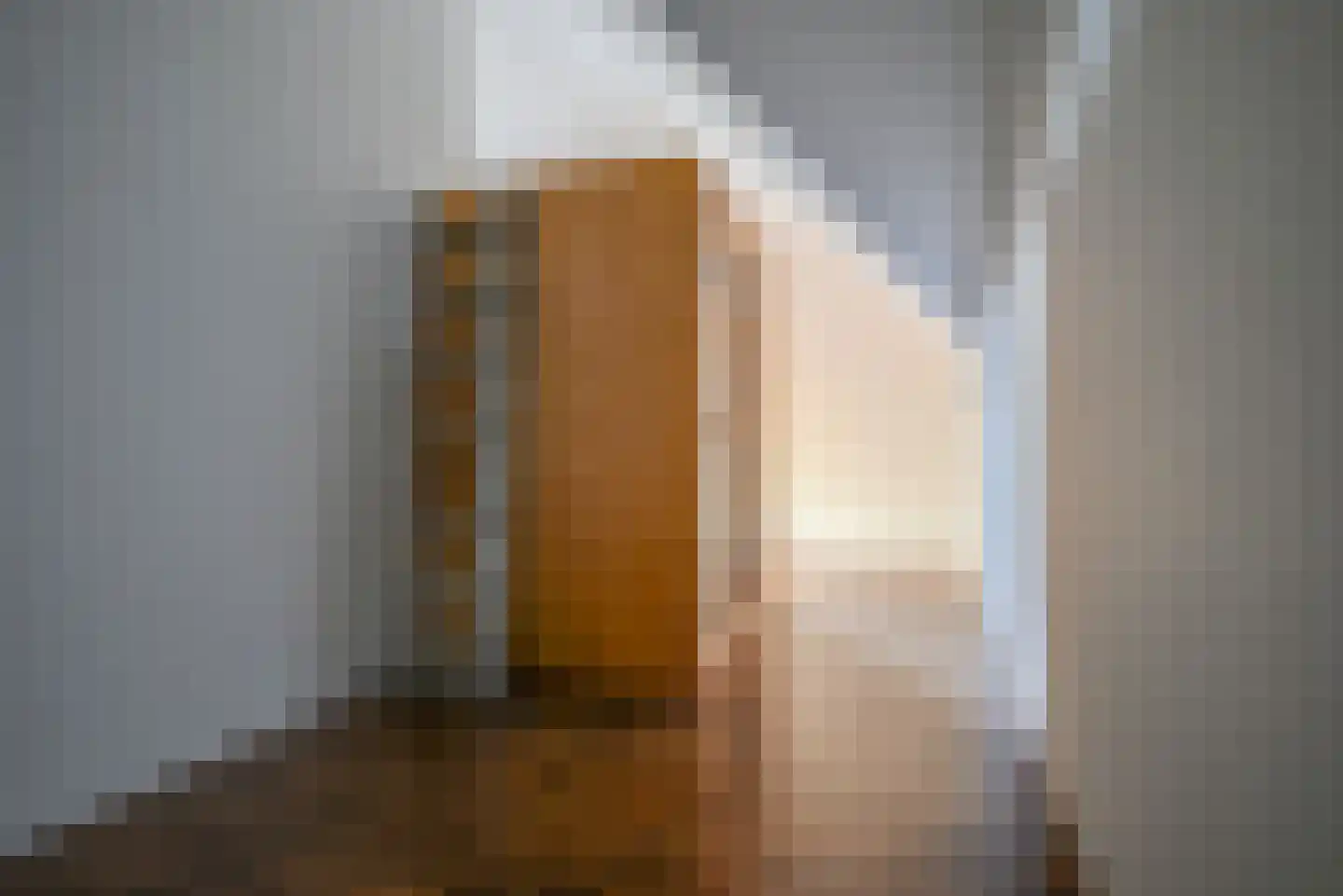 Schans 12 Berkel en Rodenrijs thumbnail 31
