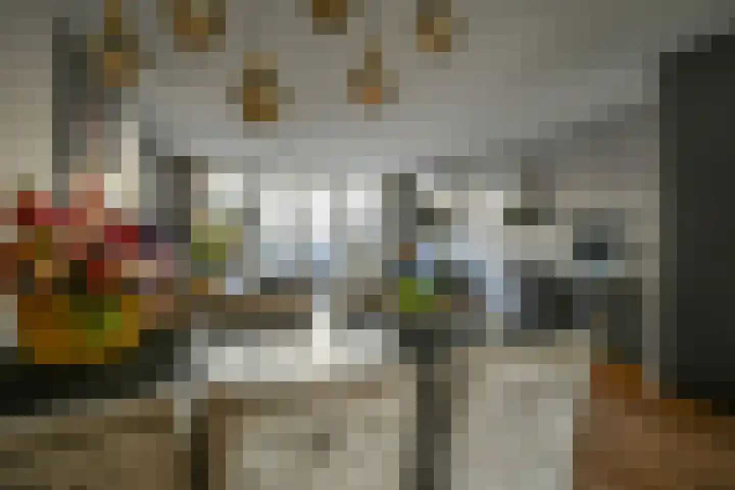 Schans 12 Berkel en Rodenrijs thumbnail 8