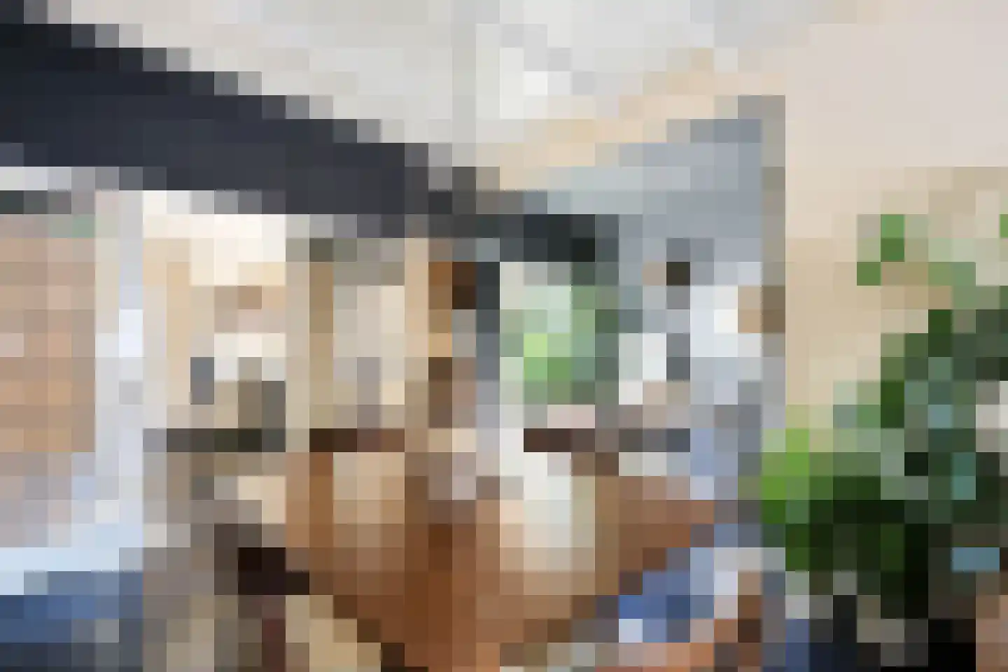 Schans 12 Beverwijk thumbnail 6