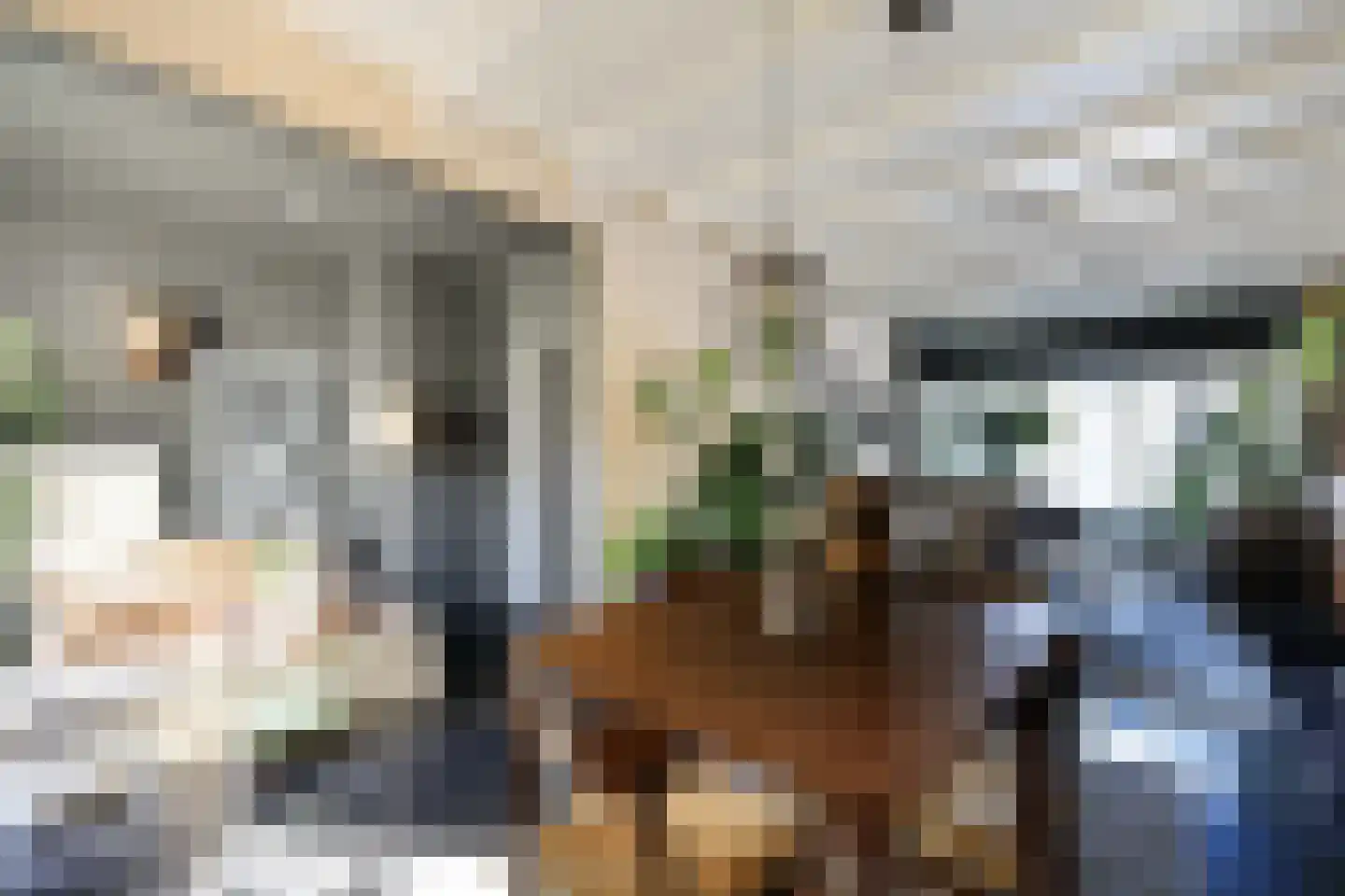 Schans 12 Beverwijk thumbnail 7